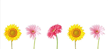 Motiv: Flower Power